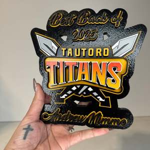 Mini sports Plaque/trophies