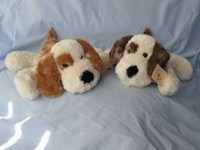 Cute and Cuddly: Shelby