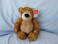 Cute and Cuddly: Gordy