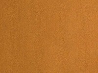 Ultra Suede: Moccasin