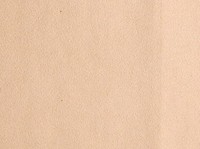 Ultra Suede: Chamois