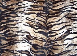 Short Pile up to 14mm: Mini tiger