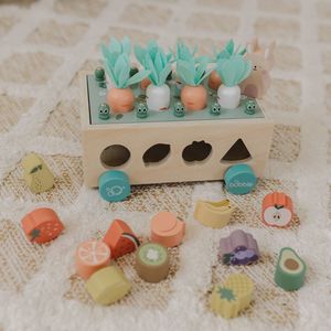 Toys: Wooden Vegetable Garden