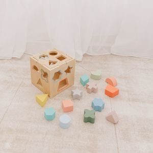 Wooden Shape Sorting Cube