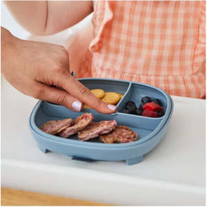 New: 2 in 1 Suction Plate