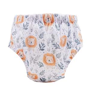 Training Nappies: Little Leo Training Nappy