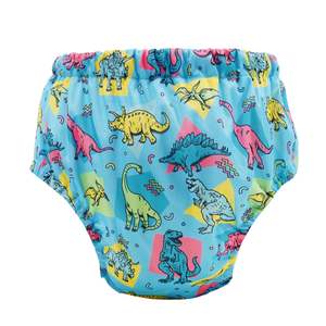 Training Nappies: Electric Dino Training Nappy
