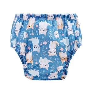 Whiskers Large Swim Nappy