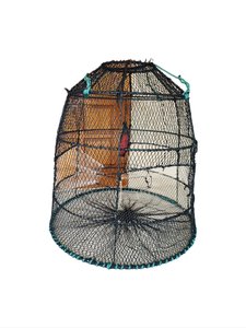 Products: Deep Water Pot - Iglo - Beauline