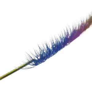 Ez Lash: Mink Coloured Y Lash C curl 0.07 x 12mm