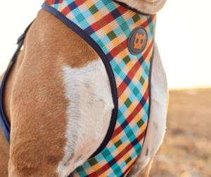 All: Air Mesh Dog Harness - Phantom - Medium