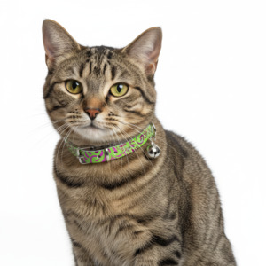 Splash Cat Collar with Safety - Green