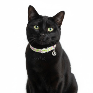 Psychadalic Cat Collar with Safety - Green & Pink