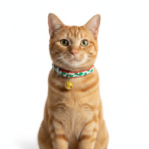 1 Cat Collars: Moo Cat Collar with Safety - Green