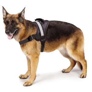 Ruff N Tuff Premium Dog Handle Harness