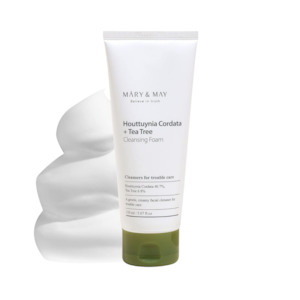 Cleansers: Houttuynia Cordata + Tea Tree Cleansing Foam