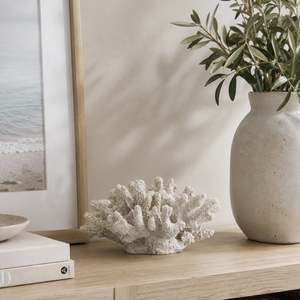 Cove Open Coral Decor