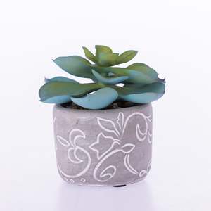 Everlasting Green Succulent In Grey Pot