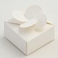 Products: Petal top favour box - White
