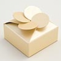 Products: Petal top favour box - Pale Gold