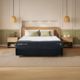 Tempur Ultra Form Mattress & Base