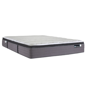 Queen Beds: Tyrian Plush Mattress