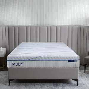 Mlily Deluxe Dream Element Plush Queen Mattress