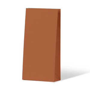 Earth Collection Gift Bags: Burnt Orange Coloured Gift Paper Bag