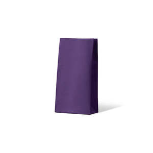 Carnival Gift Bags: Passion Purple Medium Coloured Gift Paper Bag