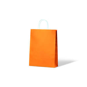 Carnival Kraft Carry Bags: Citrus Orange Kraft Small