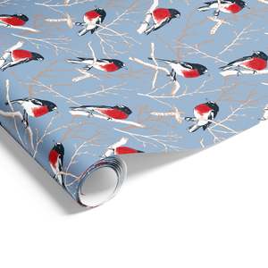Christmas Wrapping Paper: Robins on Matte Wrap French Blue