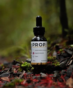 Products: Propolis Tincture