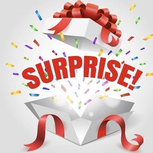 Products: Mystery Bundle Undies 3 - Collections – bee Moore