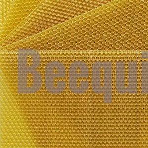 All Our Other Comb Honey: Thin Super Foundation pre-cut for Technoset No.2 Comb Honey Frames