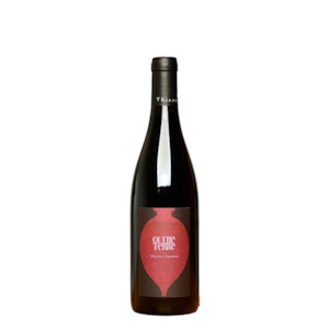 Viva La France Bastille Month Collection: Thierry Germain Roches Neuves Saumur Champigny Outre Terre 2019
