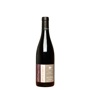 Thierry Germain Roches Neuves Saumur Champigny Franc de Pied 2020