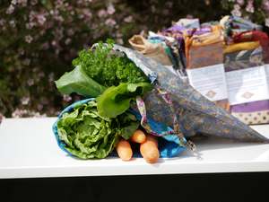 Forget me not - 4 Pack (S,M,L,XL)