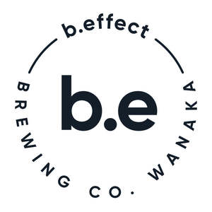 Mixed Beer 12 x 440 Pack