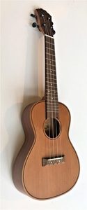 Misc. Instruments: Fzone FZU D30 Concert size Ukulele with bag. Solid top