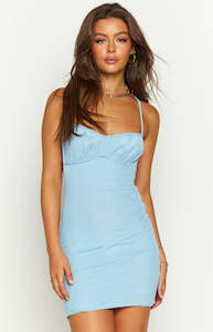 2 For 110: Caldwell Blue Mesh Mini Dress