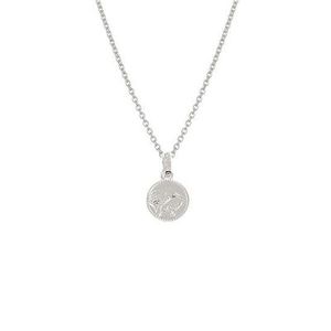 Evolve Kiwi Coin Necklace
