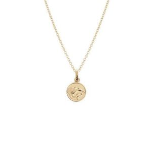 Evolve Kiwi Coin Necklace Gold Plated