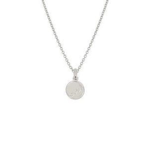 Evolve NZ Map Coin Necklace