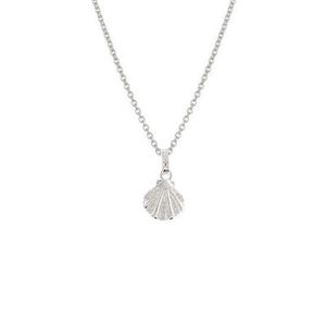 Evolve Seashell Necklace
