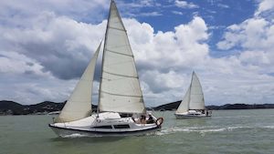 Great Escape Learn to Sail in the Bay Of Islands