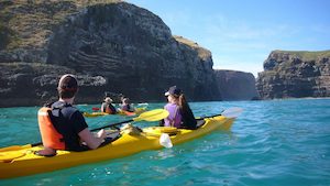 Products: 4WD Sea-Kayaking Safari in the Pohatu Marine Reserve