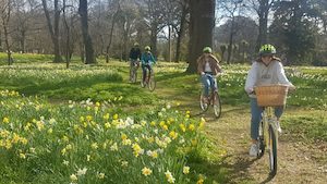 Urban Explorer Tour in Christchurch City