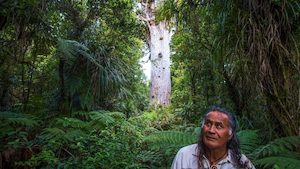 Māori Legends Overnight Experience in the Hokianga