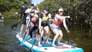 Products: Paddleboarding and Marine Science on the Tutukaka Coast