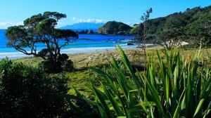 Products: A Kiwi Tour for Kiwis on the North Shore